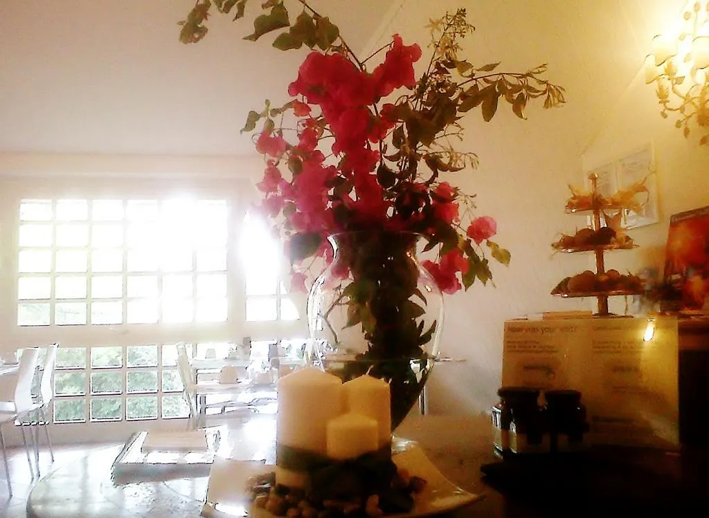 Bed And Breakfast Aloisio 3*, San Gregorio di Catania Italy